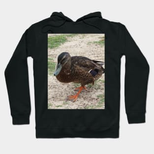 The Duck Walk! Hoodie